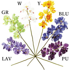 yP10{ z  Ƃ悹i I[Lbh(1Zbg12{) CeA CeAt[ tFCNt[ VNt[ CeAO[ ԍ lfBXvC~[WA YDM