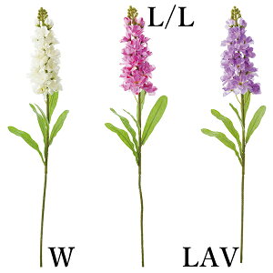 yP10{ z  Ƃ悹i XgbN(1Zbg12{) CeA CeAt[ tFCNt[ VNt[ CeAO[ ԍ lfBXvC~[WA YDM