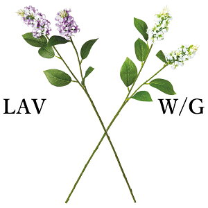 yP10{ z  Ƃ悹i CbN(1Zbg12{)  CeA CeAt[ tFCNt[ VNt[ CeAO[ lfBXvC~[WA YDM