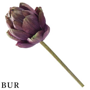 yP10{ z  Ƃ悹i A[eB`[N(1Zbg12{) A[eBtBVt[  CeA CeAt[ tFCNt[ lfBXvC~[WA YDM