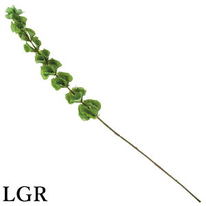 yP10{ z  O[ Ƃ悹i Z(1Zbg12{) CeA tFCN O[ p[c CeAt[ tFCNt[ ԍ lfBXvC~[WA YDM