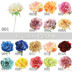 yP10{ }\z  o sIj[sbN sIj[  ԍ ޗ AW RT[W  wbhp[c u[P a [X l  VNN 䉖 AXJ ASCA 