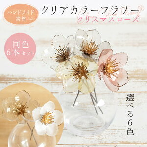 yP10{ z  o NAJ[t[ NX}X[Y(16{)  ޗ   l wbhp[c A[eBtBVt[ ԍ AXJ ASCA AXJ