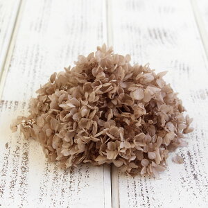 vU[uht[ ԍ o s~bhAWTCEwbh Vp AWTC  z Ԃт vU[uht[ XbO u[P ԑ [X n_