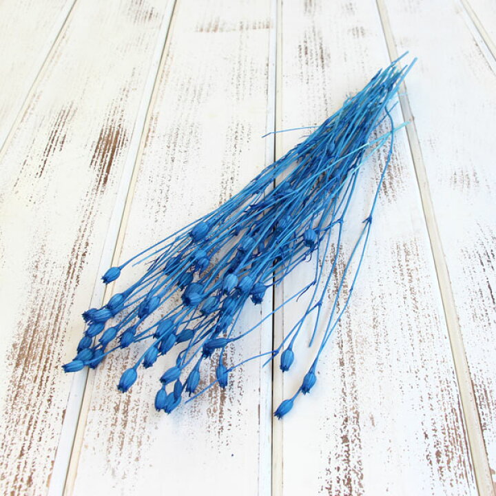 楽天市場 ドライフラワー 即日出荷 東北花材 フローレンシア 海 ドライフラワー スワッグ ブーケ ブルー 青 ドライフラワー花束 花束 ドライフラワースワッグ リース アレンジ 花材 素材 材料 花 パーツ アレンジメント ナチュラル 自然素材 造花ドライ