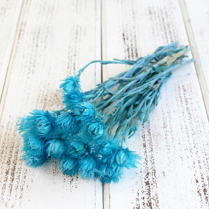 ドライフラワー 花材 即日出荷 シルバーデージー ミニ 空 ドライフラワー スワッグ ブーケ ドライフラワー花束 ドライフラワースワッグ リース アレンジ 花材 素材 材料 東花