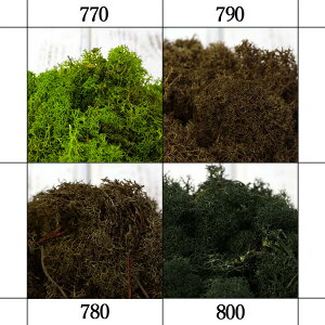 yP10{ 12/31܂ŁIz vU[uht[ ԍ o y40OFFz mfBbNX 50g X    ǖ Ǌ| t[ vU[uht[ XbO u[P hCt[ 