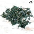 《 プリザーブドフラワー 》◆とりよせ品◆大地農園 マウンテンジュニパー・小枝 グリーングリーン