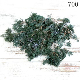 《 プリザーブドフラワー 》◆とりよせ品◆大地農園 マウンテンジュニパー・小枝 グリーングリーン