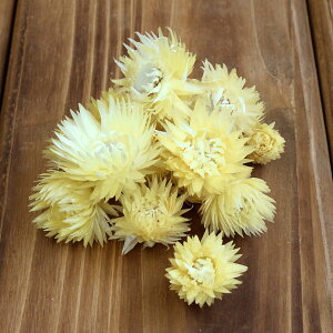 hCt[ ԍ o Vo[fCW[wbh CG[ Vo[f[W[ ԍ f ޗ p[c hCt[ XbO u[P hCt[ԑ DIY f