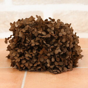 vU[uht[ ԍ o \tgAix LuE AWTC  z Ԃт vU[uht[ XbO u[P ԑ [X 