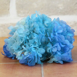 yP10{ z vU[uht[ ԍ o \tg u[×u[ AWTC  z Ԃт vU[uht[ XbO u[P hCt[ ԑ 