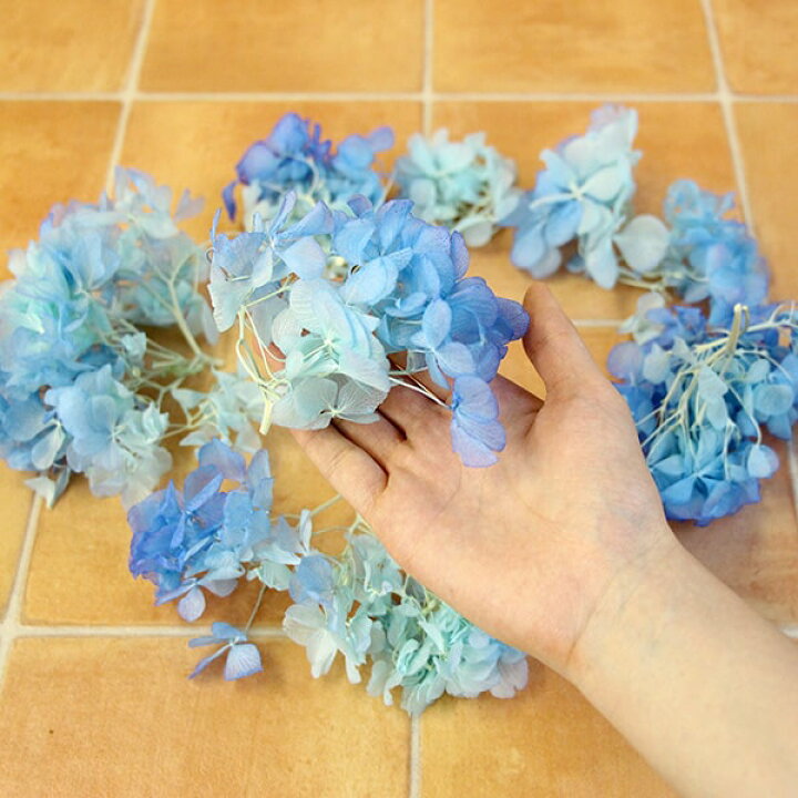 楽天市場】プリザーブドフラワー 花材 即日出荷 ソフトあじさい彩 