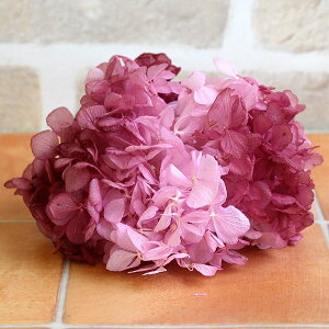 yP10{ z vU[uht[ ԍ o \tg {h[×{h[ AWTC  z Ԃт vU[uht[ XbO u[P hCt[  