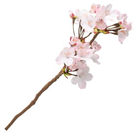 楽天市場 枝 桜 ドライフラワーの通販