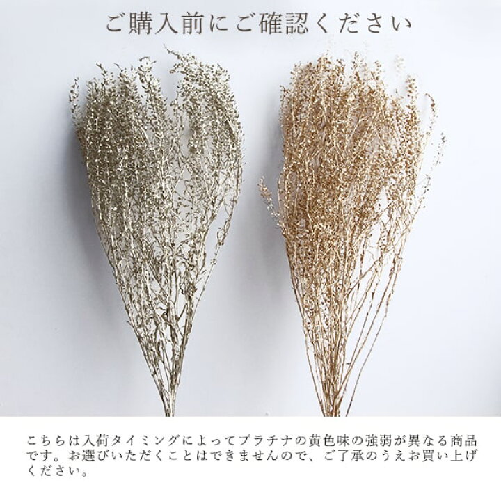 楽天市場】プリザーブドフラワー 花材 即日出荷 ペティーコート 