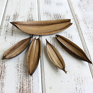 yP10{ z hCt[ ԍ o ~j{[g i`  XbO [X AW ԍ f ޗ p[c AWg i` Rf   DIY f