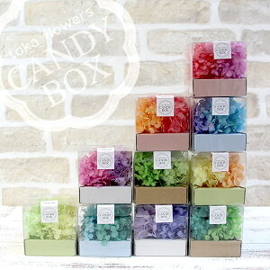 yP10{ z vU[uht[ ԍ o FM\tgAixLfBBOX ZW܂ hCt[   AWTC  z Ԃт ԍ f  