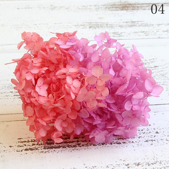 楽天市場 プリザーブドフラワー 即日出荷 東北花材 Fmソフトアナベルキャンディbox小分け 少量 アジサイ あじさい 紫陽花 花びら プリザーブドフラワー スワッグ ブーケ ドライフラワー プリザ 花束 ドライフラワースワッグ リース アレンジ 造花ドライ