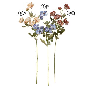 yP10{ 12/31܂ŁIz  Ƃ悹i [Y×7 o KN ΂ d炫 CeA CeAt[ tFCNt[ VNt[ CeAO[ ԍ AXJ ASCA AXJ