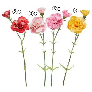 P10{ 10/14 20灚  Ƃ悹i J[l[V×2  bh sN F F ̓ A[eBtBVt[ CeA CeAt[ VNt[ AXJ ASCA AX