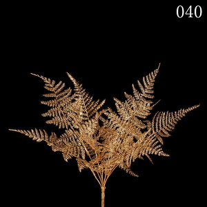 アスパラガス 花の人気商品 通販 価格比較 価格 Com