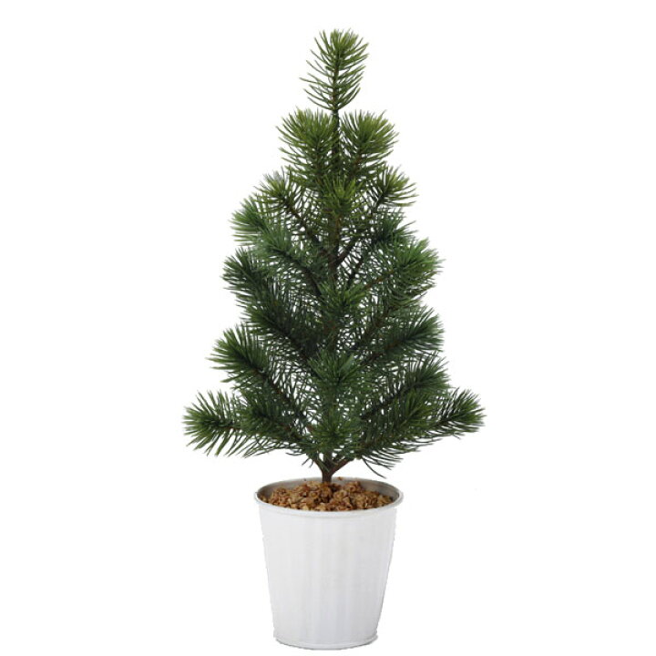楽天市場 クリスマス ツリー 小さい とりよせ品 Asca アスカ ミニツリー ポット付 ツリー 造花ドライフラワー専門問屋花びし 楽天市場 クリスマス ツリー 小さい とりよせ品 Asca アスカ ミニツリー ポット付 ツリー 造花ドライフラワー専門問屋花びし