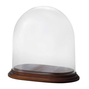 KX x[X Ƃ悹i Oval Glass Dome with Wood(I[oKXh[EBYEbh)* ԕr R|[g CeA Ԏ Ԋ x[X AW   y 