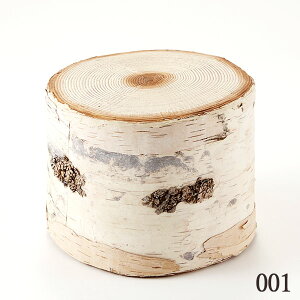 とりよせ品 バーチトランク(M) インテリア小物 装飾 かわいい パーツ アレンジメント 花資材 材料 写真撮影 手作り 安い 春 夏 秋 冬 おひなさま 五月 母の日 端午の節句