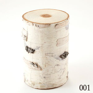 とりよせ品 バーチトランク(L) インテリア小物 装飾 かわいい パーツ アレンジメント 花資材 材料 写真撮影 手作り 安い 春 夏 秋 冬 おひなさま 五月 母の日 端午の節句