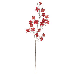 yP10{ z   Ƃ悹i xxbghbOEbh×18 ڂ×12 ni~YL AJ}{EV Ԑ   S[h r[h xxbh N a AXJ ASCA AXJ