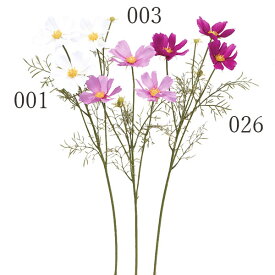 楽天市場 お歳暮 種類 植物 コスモス 花 ガーデン Diy の通販