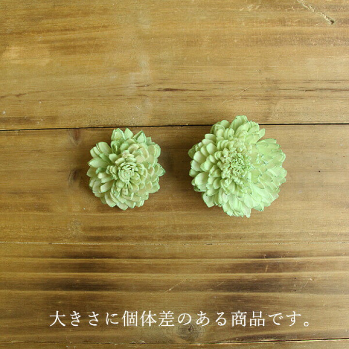 楽天市場】《ハンドメイドフラワー 花材》☆即日出荷☆東方貿易 ソーラーダリア・6cm ホワイトドライフラワー ソーラー ハンドメイドフラワー 花 花材 素材 材料 ブーケ スワッグ クラッチブーケ リース 花束 アレンジ ディスプレイ 装飾 撮影 自然素材 : 造花ドライ ... 楽天市場】《ハンドメイドフラワー 花材》☆即日出荷☆東方貿易 ソーラーダリア・6cm ホワイトドライフラワー ソーラー ハンドメイドフラワー 花 花材 素材 材料 ブーケ スワッグ クラッチブーケ リース 花束 アレンジ ディスプレイ 装飾 撮影 自然素材 : 造花ドライ ...