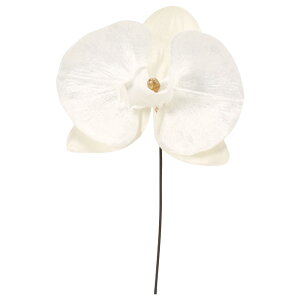 yP10{ z   Ƃ悹i xxbgR`EsbN t@mvVX Ӓ CeA CeAt[ tFCNt[ VNt[ ԍ AXJ ASCA AXJ