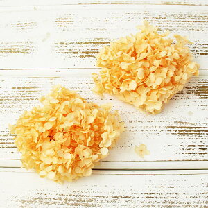 yP10{ z vU[uht[ ԍ o ߃AWTCEwbh [jOCG[ AWTC  z Ԃт vU[uht[ XbO u[P ԑ ԍ n_