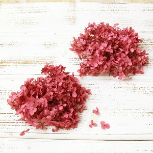 yP10{ z vU[uht[ ԍ o AixEwbh JVXsN AWTC  z Ԃт vU[uht[ XbO u[P hCt[ ԑ n_