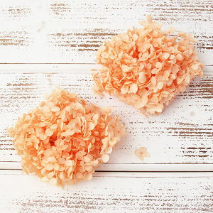 yP10{ z vU[uht[ ԍ o AixEwbh WAIW AWTC  z Ԃт vU[uht[ XbO u[P hCt[ n_