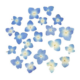 楽天市場 あじさい 押し花の通販 楽天市場 あじさい 押し花の通販