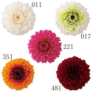 vU[uht[ ԍ Ƃ悹i _AEOCX hCt[ ԍ f p[c ޗ n[oE vU[uh[Y uU[uh Preserving TVF n_