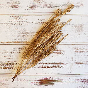 yP10{ z vU[uht[ ԍ o  g[^C S[h (݌Ɍ) vU[uht[ XbO u[P hCt[ ԑ [X AW ԍ f