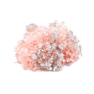 yP10{ z vU[uht[ ԍ o \tgAix XvbVsN AWTC  z Ԃт vU[uht[ XbO u[P ԑ [X 