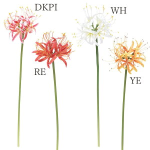  Ƃ悹i llB [ S   _Ch[  zCg  bh IW ފ݉ qKoi ֎ꍹ CeA VNt[ roH|