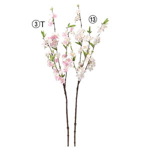 yP10{ z  Ƃ悹i ×75  `F[ubT CeA CeAt[ tFCNt[ VNt[ CeAO[ ԍ Ԏ AXJ ASCA AXJ