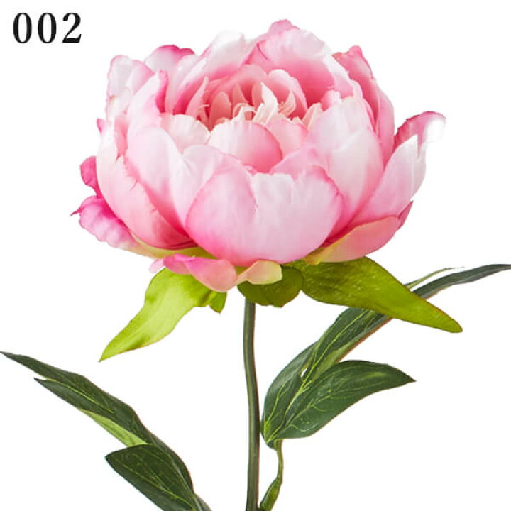 楽天市場 造花 とりよせ品 花びし アロマピオニーボタン 牡丹 シャクヤク 芍薬 インテリア インテリアフラワー フェイクフラワー シルクフラワー インテリアグリーン フェイクグリーン アートフラワー 花材 造花ドライフラワー専門問屋花びし