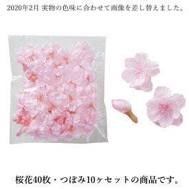 楽天市場 桜 ドライフラワーの通販