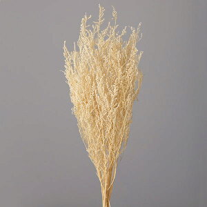 yP10{ z vU[uht[ ԍ o Xg[x ItzCg vU[uht[ XbO u[P hCt[ ԑ [X AW ԍ f ޗ p[c n_