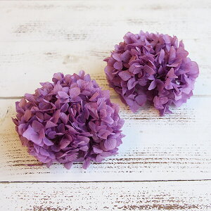 yP10{ z vU[uht[ ԍ o ߃AWTCEwbh p[v AWTC  z Ԃт vU[uht[ XbO u[P hCt[ ԑ n_