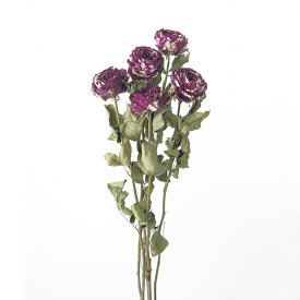 楽天市場 バラ ドライフラワー 花 観葉植物 花 ガーデン Diyの通販 楽天市場 バラ ドライフラワー 花 観葉植物 花 ガーデン Diyの通販