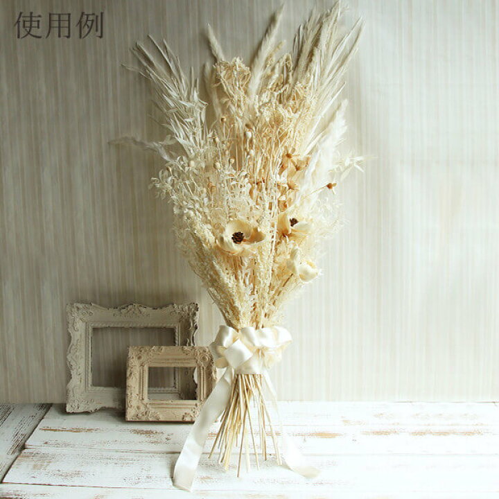楽天市場 ドライフラワー 花材 即日出荷 大地農園 アマランサス オフホワイトホワイト 白 アマランサス ドライフラワー スワッグ ブーケ ドライフラワー花束 花束 ドライフラワースワッグ リース アレンジ 花材 素材 材料 花 パーツ アレンジメント 造花ドライ