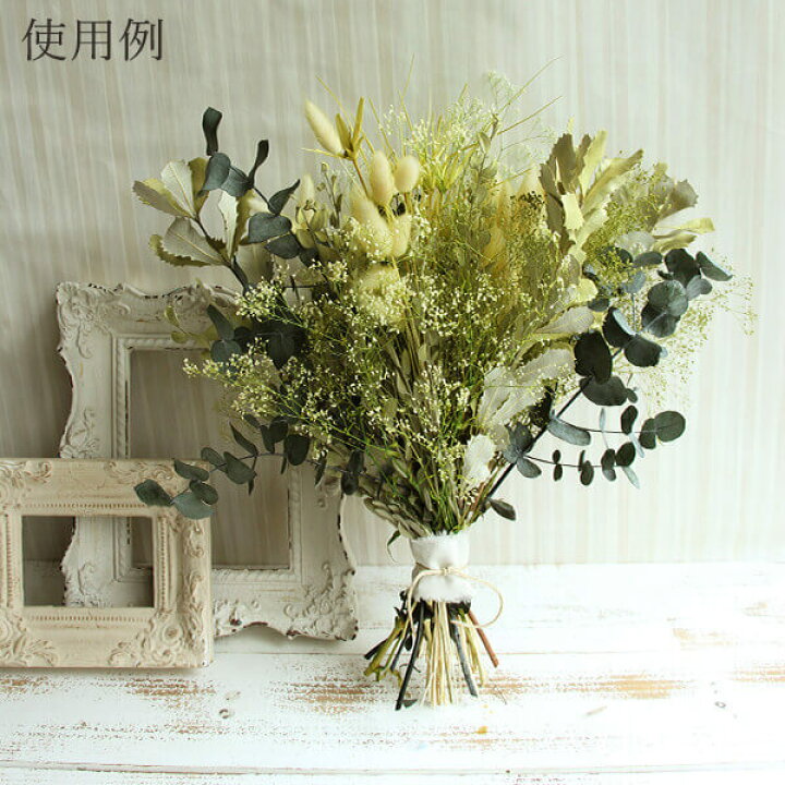 楽天市場 ドライフラワー 即日出荷 大地農園 インテグレフォリア ナチュラルグリーンドライフラワー スワッグ ブーケ ドライフラワー花束 花束 ドライフラワースワッグ リース アレンジ 花材 素材 材料 花 パーツ アレンジメント ナチュラル 装飾 造花ドライ